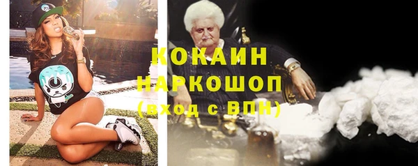 индика Арсеньев