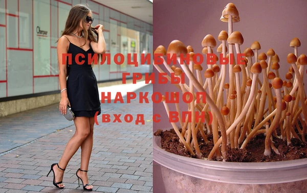 дживик Алзамай