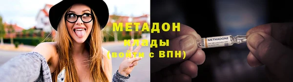 индика Арсеньев