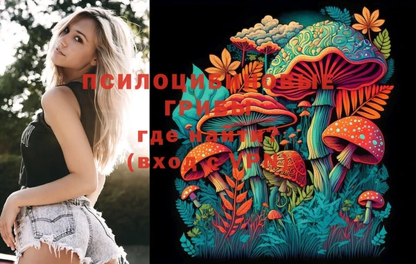 PSILOCYBIN Аркадак