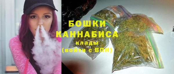 PSILOCYBIN Аркадак