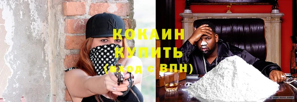 индика Арсеньев