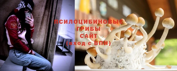дживик Алзамай